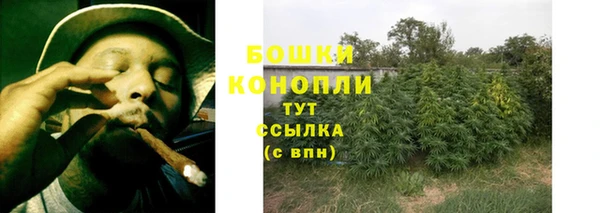 прущие грибы Армянск