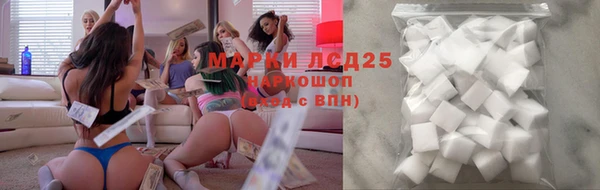 прущие грибы Армянск