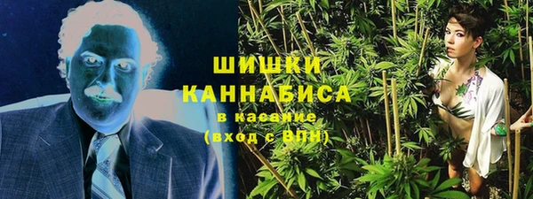 прущие грибы Армянск