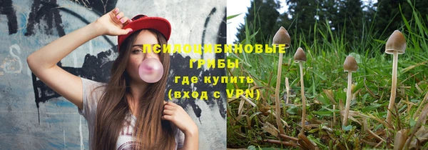 молекула духа Аркадак