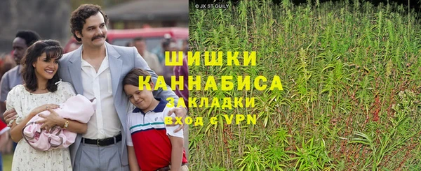 прущие грибы Армянск